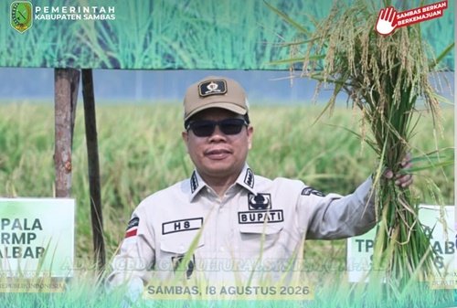 Panen Perdana PM-AAS, Bupati Sambas Satono: Pertanian Modern Mampu Lampaui Harapan