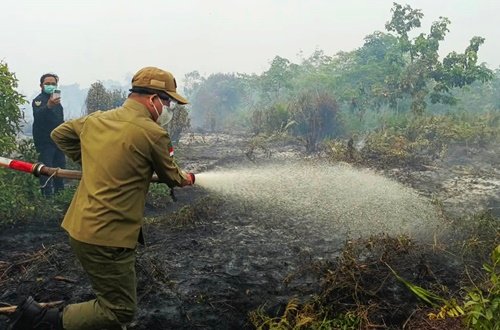 Bupati Sambas Satono Turun Langsung Padamkan Karhutla di Desa Tri Mandayan