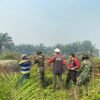 Sinergitas Dalam Penanganan Karhutla di Kayong Utara