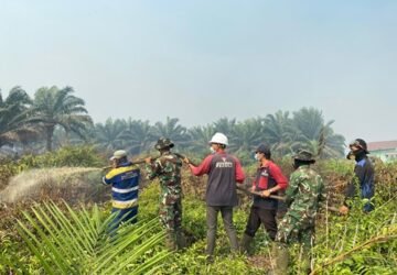 Sinergitas Dalam Penanganan Karhutla di Kayong Utara