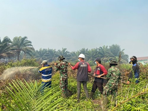 Sinergitas Dalam Penanganan Karhutla di Kayong Utara