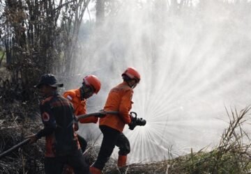 Ribuan Hotspot Terdeteksi di Kalbar, Ketua DPR RI Tekankan Satu Kendali Penanganan Karhutla