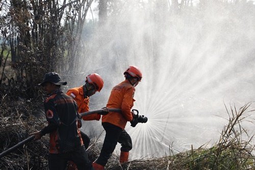 Ribuan Hotspot Terdeteksi di Kalbar, Ketua DPR RI Tekankan Satu Kendali Penanganan Karhutla